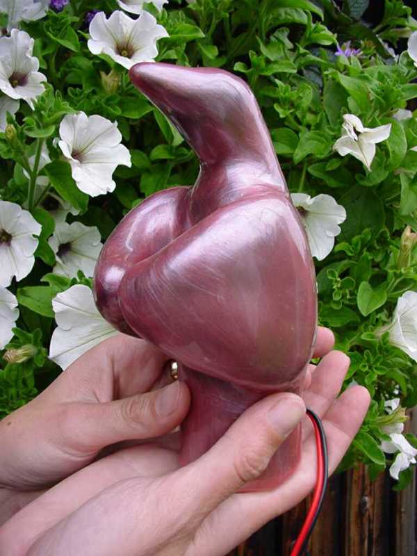 bird1